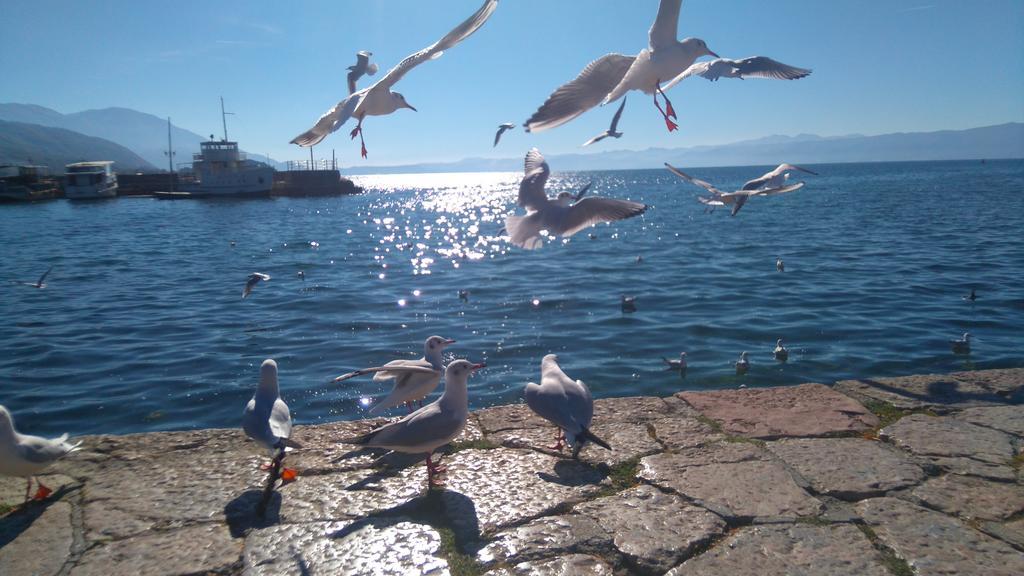 'By The Lake' Apartments Ohrid Ngoại thất bức ảnh