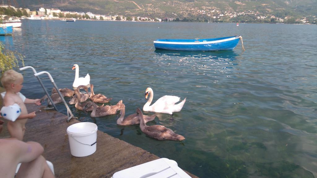 'By The Lake' Apartments Ohrid Ngoại thất bức ảnh